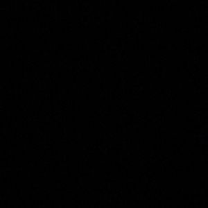 Meet your Posher, Devin